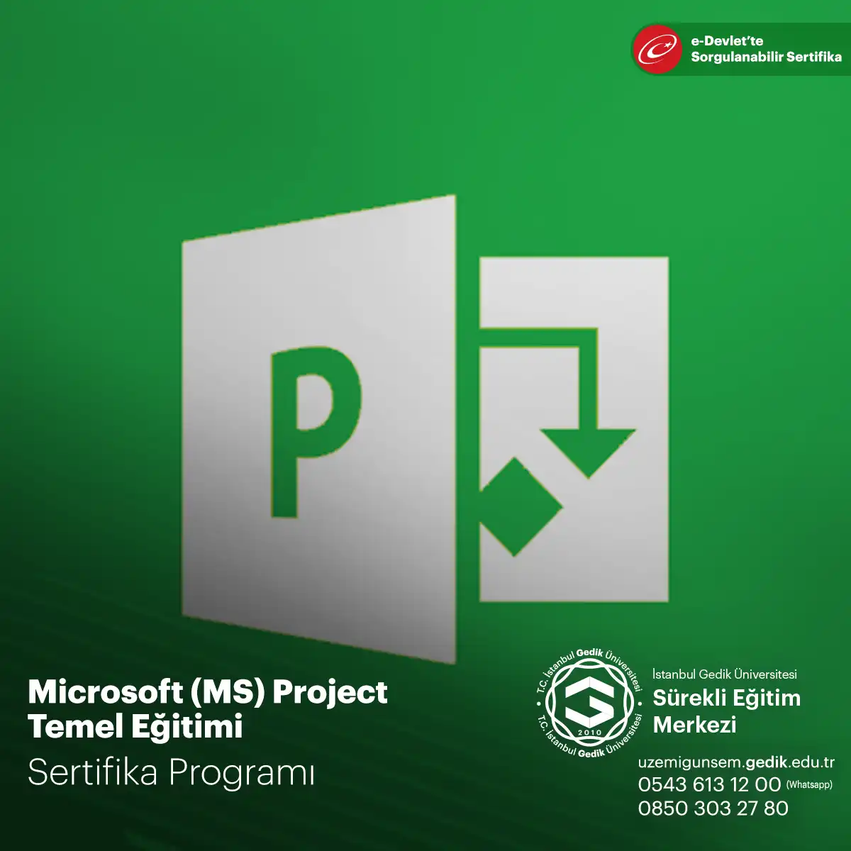 Microsoft (MS) Project Temel Eğitimi 